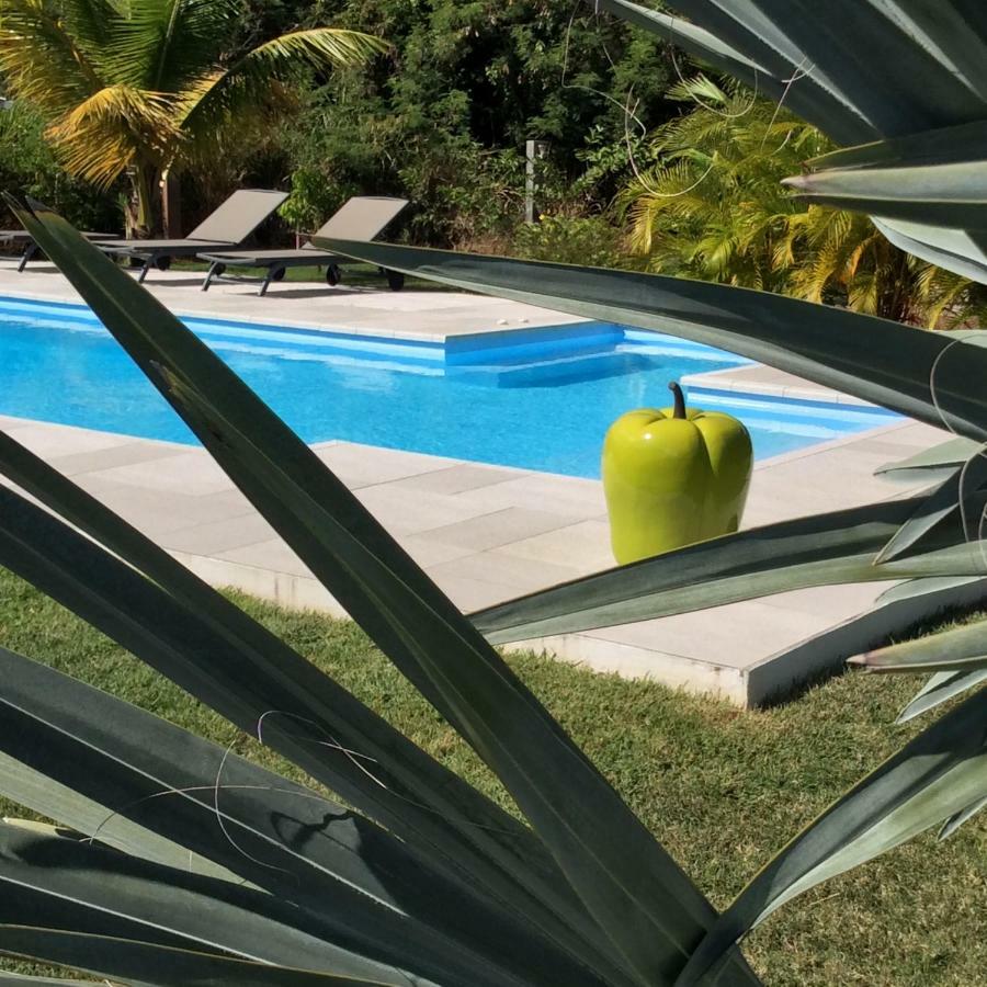 Gite Les Jardins D'Enoha Anse-Bertrand ภายนอก รูปภาพ